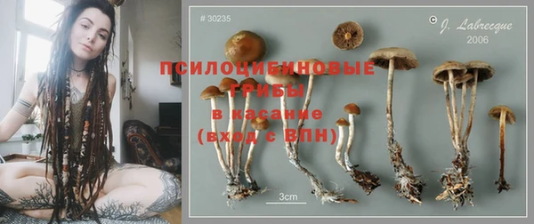 мдпв Киренск