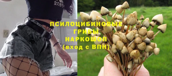 бошки Кинешма