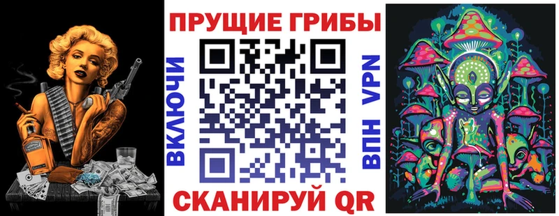 Купить где  Владимир  Псилоцибиновые грибы прущие грибы 