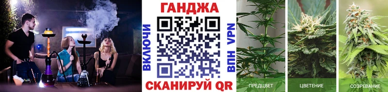 МАРИХУАНА планчик Владимир